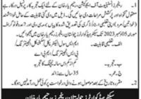 Principal Job at Sector Headquarters Cholistan Rangers Rahim Yar Khan November 2023