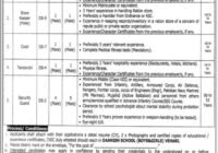 Punjab Daanish School Non-Teaching Staff Job December 2023