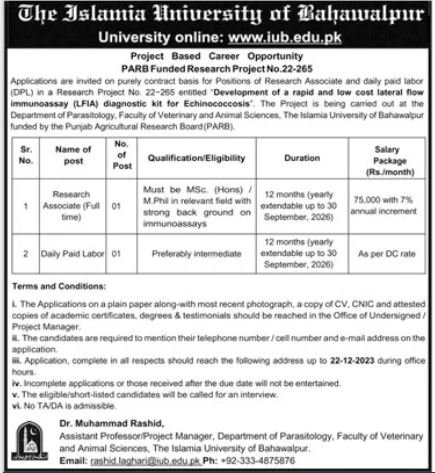 Islamia University of Bahawalpur Faculty jobs