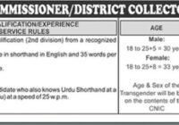Punjab Service Commission (PPSC) Stenographer Job 2023 - Apply Online (ppsc.gop.pk) in the Office of the Deputy Commissioner/District Collector Office, Rajanpur (BOR)