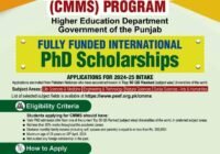 Chief Minister Merit Scholarship (CMMS) Program 2024
