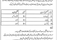 Govt. Boys College Afzal Pur Lab Boy Jobs 2024