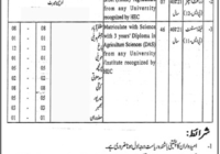 Government Stenographer for Small Dams jobs (Azad Jammu Kashmir)