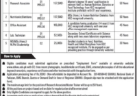 SBK Women's University Faculty Jobs Balochistan 2024