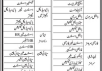 SICHN Sidha Jobs 2024