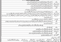 Jinnah University Medical Professor Jobs Sidha 2024