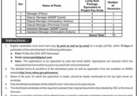 NDMA Manager Jobs 2024