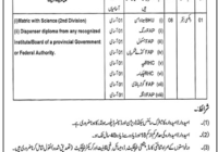 AJ&K Public Health Officer Jobs 2024