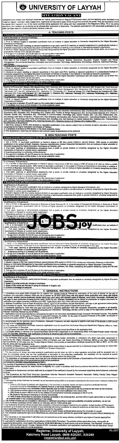 Teaching or Non-Teaching Jobs University of Layyah 2024