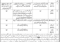 Junior Clerk Excise & Taxation Department Jobs 2024