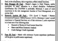 Accounting Officer Punjab Pension Fund Opportunity 2024