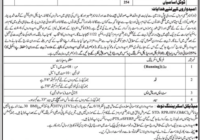 Rescue Sidha Jobs 2024