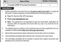 Government of Pakistan Consultant Prime Minister's NDMA Office job 2024