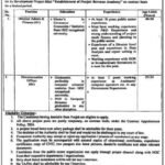Admin & Finance Opportunity Punjab Board of Revenue 2024
