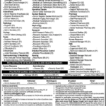 PPSC Naib Tehsildar Jobs 2024 - Apply Online (68-Post)