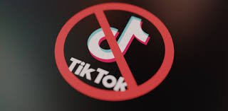 TikTok Ban Debate Privacy, Security & Geopolitical Implications